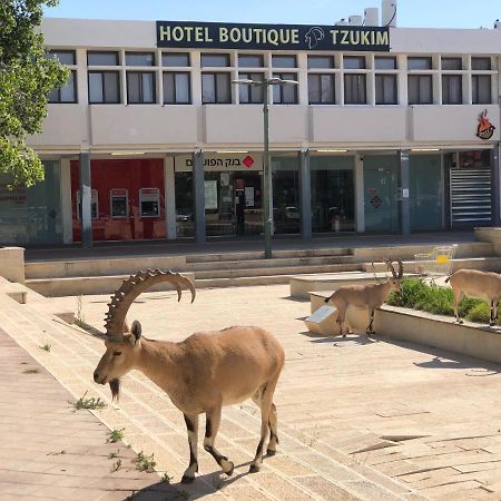 Tzukim Desert Traveler'S Hotel - מלון צוקים Mitzpe Ramon Exterior photo